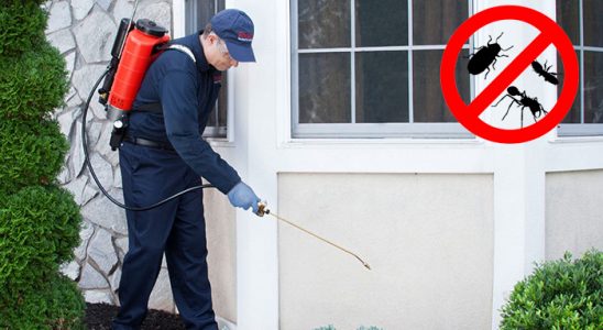 Bodrum Kene İlaçlama böcek ilaçlama ve haşere kontrolü — ilaclama-tr.com